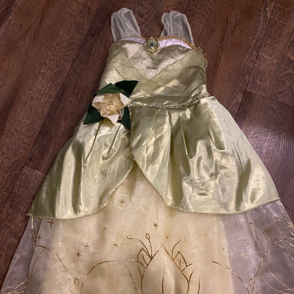 Princess Tiana Dress